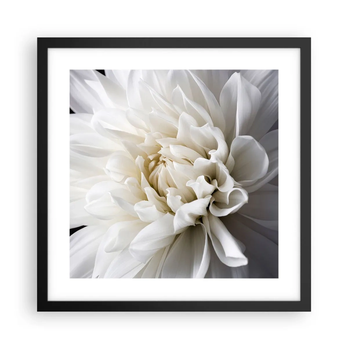 Plagát v čiernom ráme - Ráno s nevestou - 40x40 cm