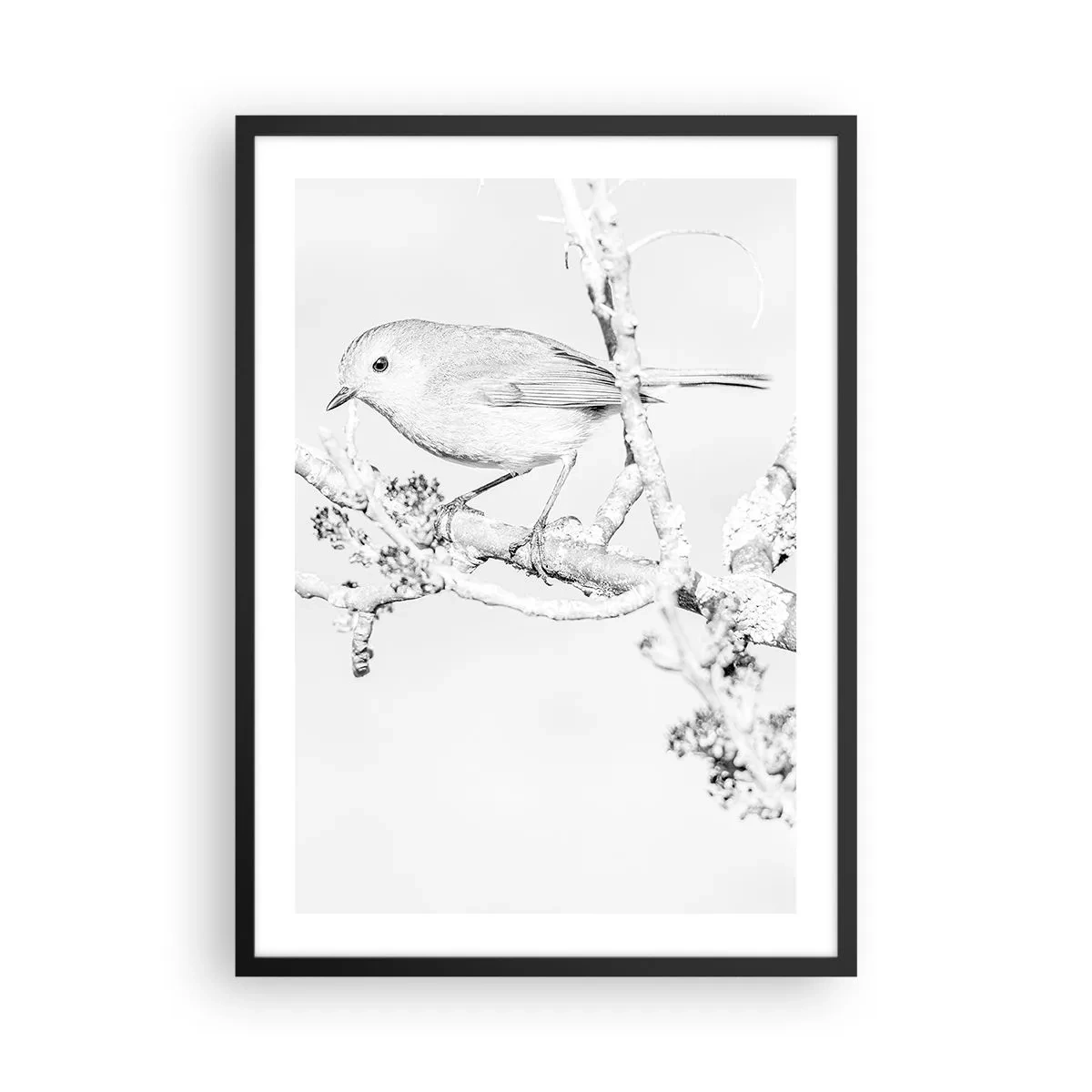 Plagát v čiernom ráme - Čiernobiela kresba vtáka na konári - 50x70cm - Zimné ráno - Moderná nástenná dekorácia do obývacej izby a spálne ARTTOR