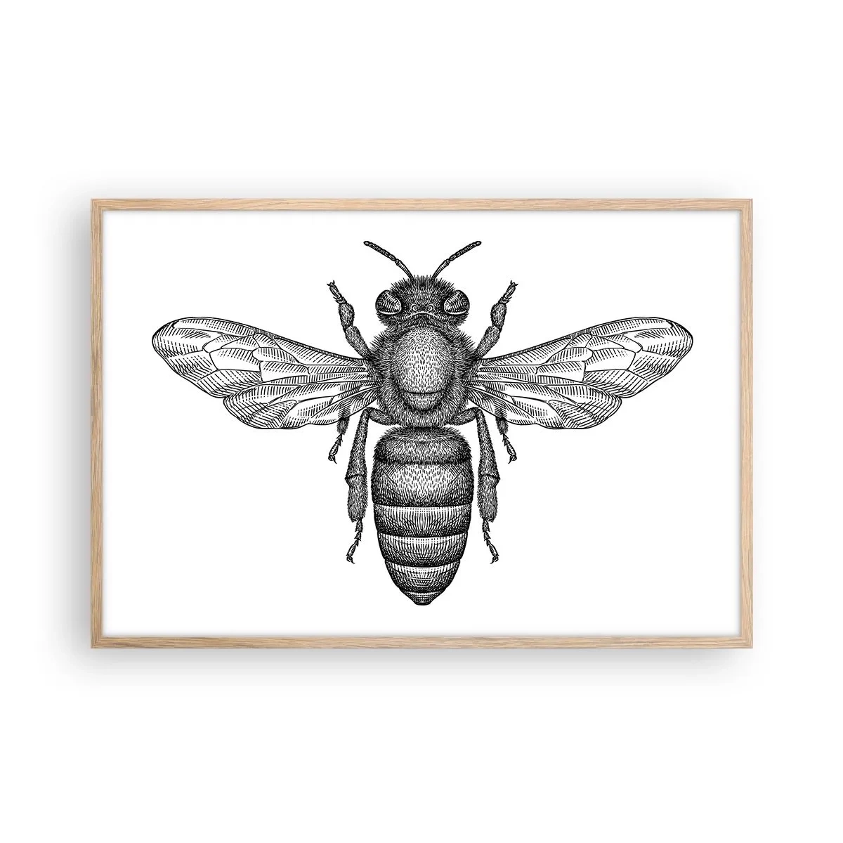 Plagát v ráme zo svetlého duba - Hmyzí portrét - 91x61 cm