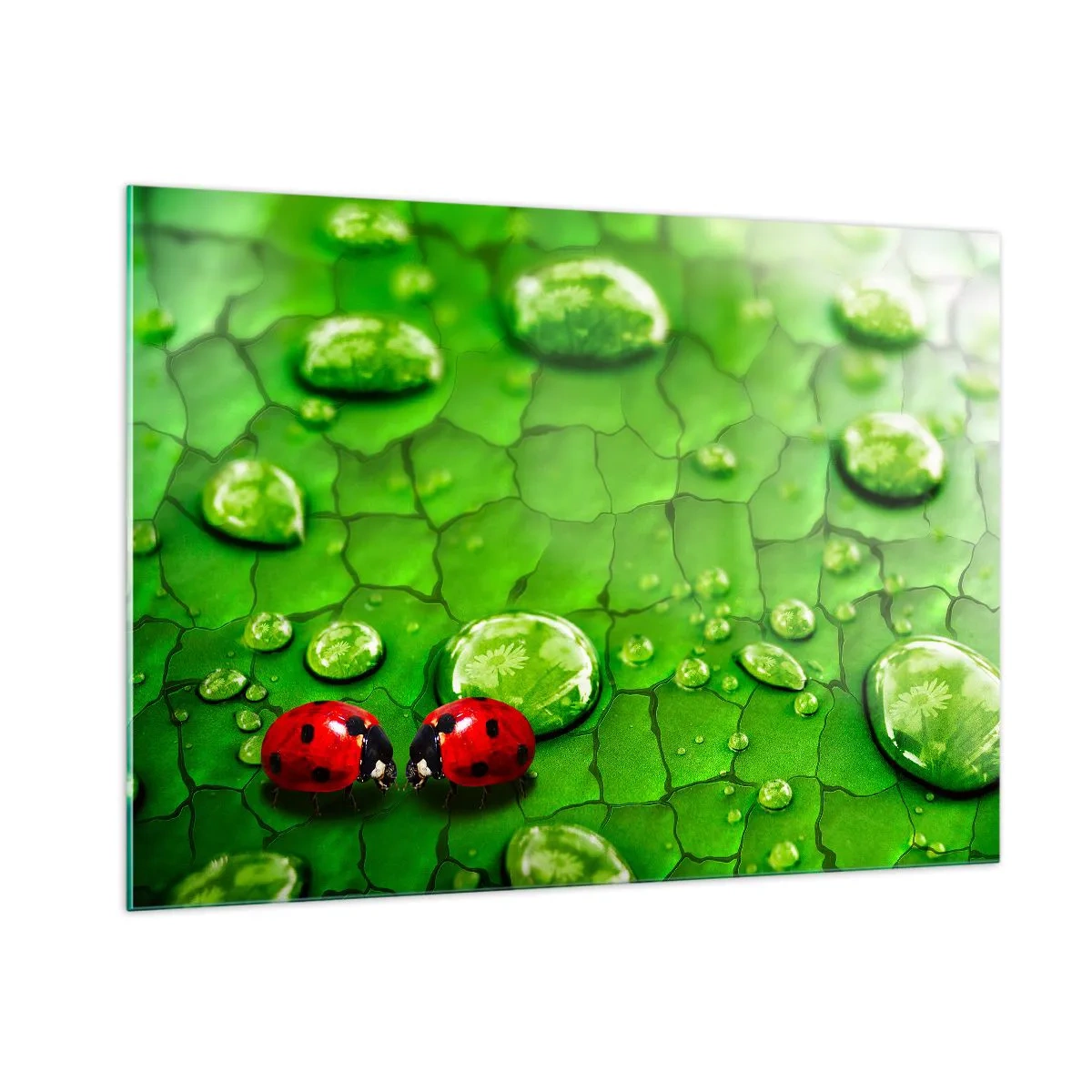 Obraz na skle - Stretnutie v zeleni - 100x70 cm