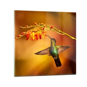 Obraz na skle - Posol svetla podľa Májov - 40x40 cm