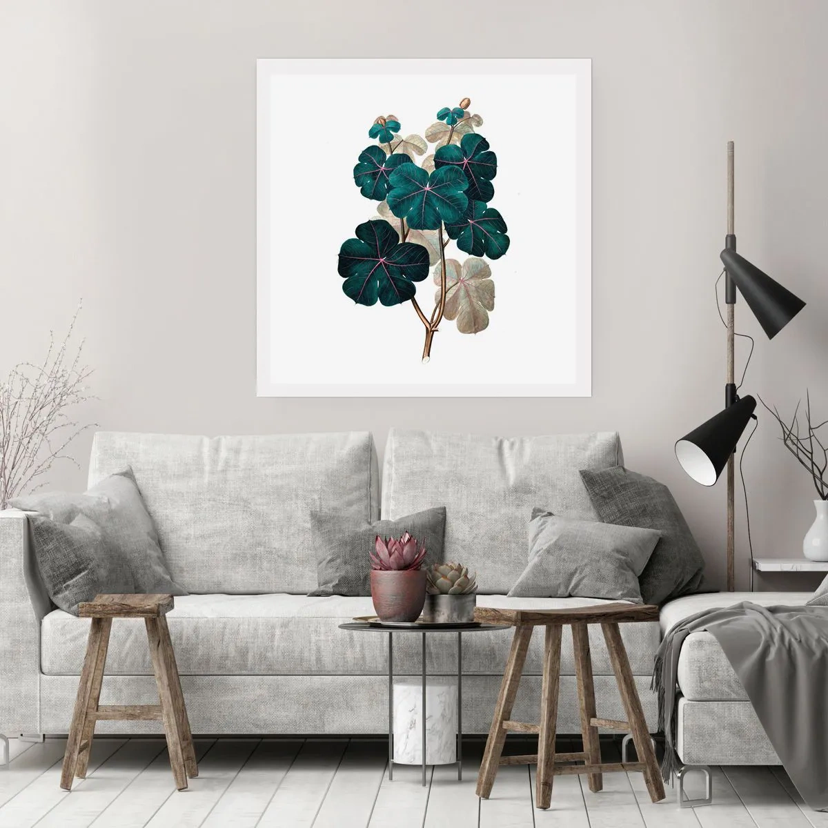 Plagát - Zo starého herbára - 50x50 cm