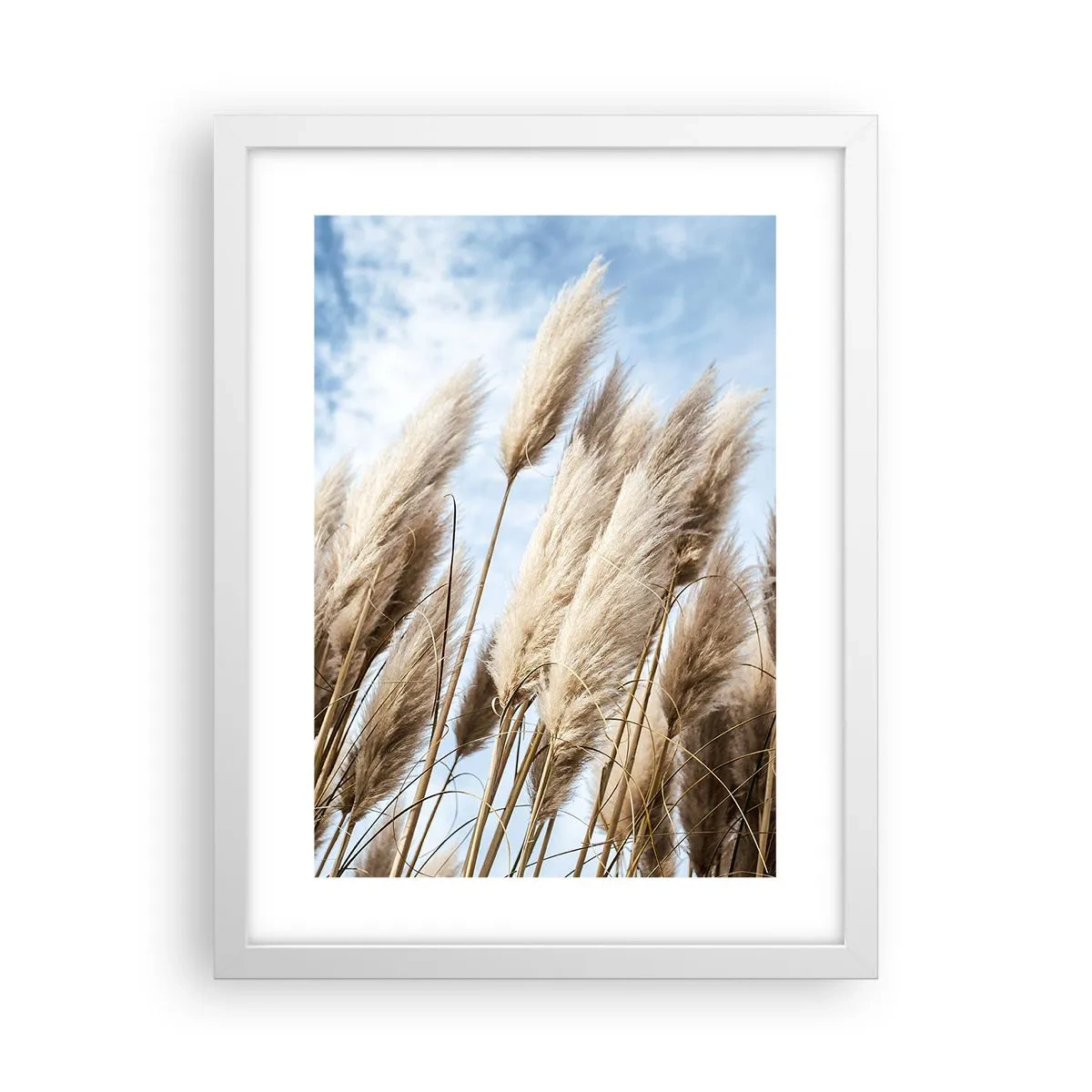 Plagát v bielom ráme - Slnečné a veterné pohladenie - 30x40 cm