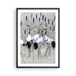 Plagát v čiernom ráme - Pôvab žeriavov v jemnej krajine trávy a vody - 50x70cm - Medzi svojimi - Moderná nástenná dekorácia do obývacej izby a spálne ARTTOR
