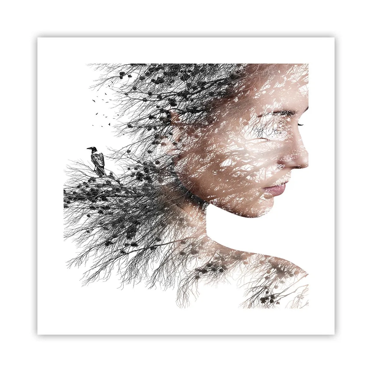 Plagát - Duch lesa - 40x40 cm