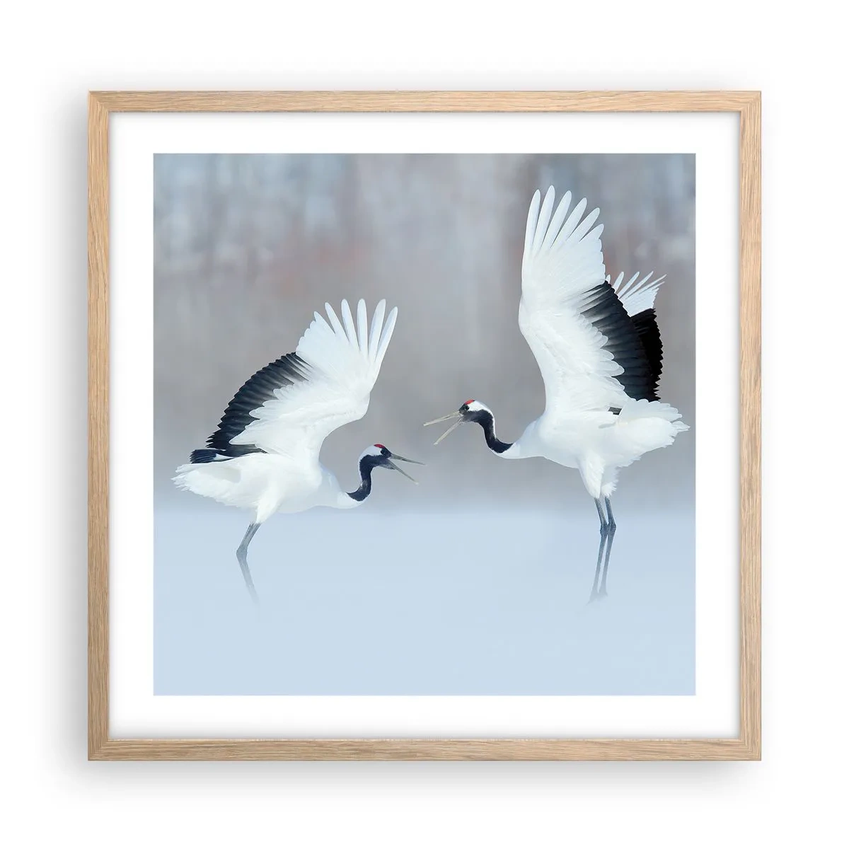 Plagát v ráme zo svetlého duba - Tanec v hmle - 50x50 cm