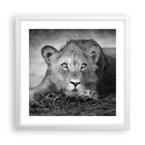 Plagát v bielom ráme - Kráľovské šteňa - 40x40 cm