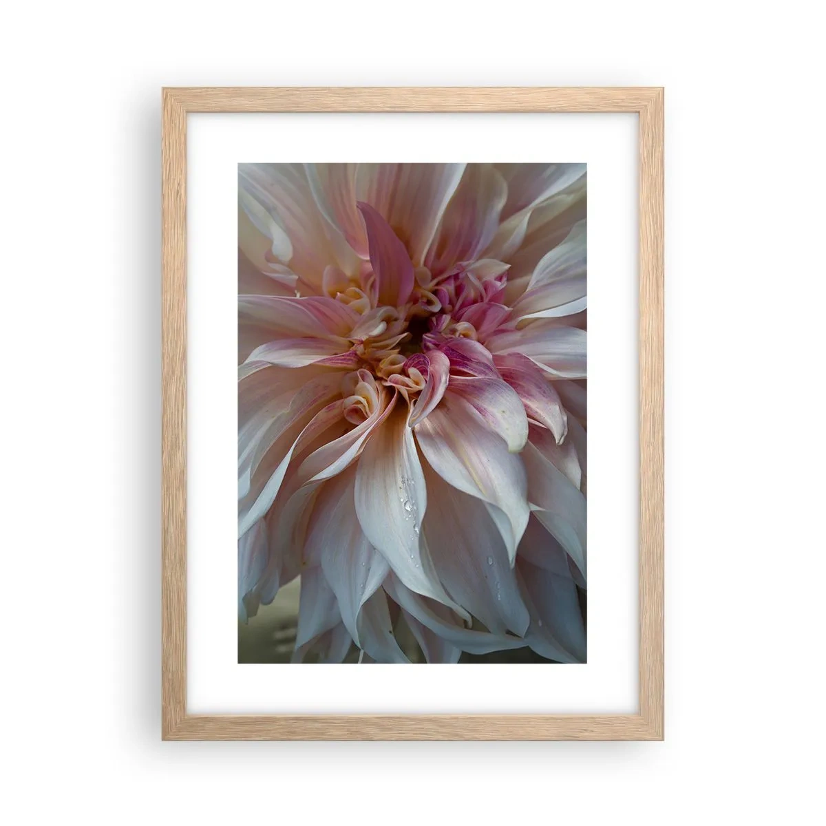 Plagát v ráme zo svetlého duba - Kvitnúca sviežosť - 30x40 cm