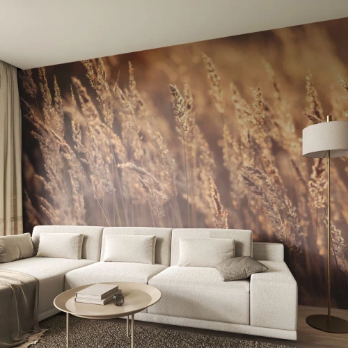 Samolepiaca Fototapeta Deluxe Sticker - Pripravení privítať jeseň - Krajina, Klasy zrna, Lúka - 250x175 cm