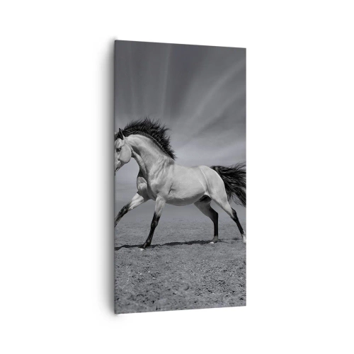 Obraz na plátne - Zrodený pre potešenie - 65x120 cm