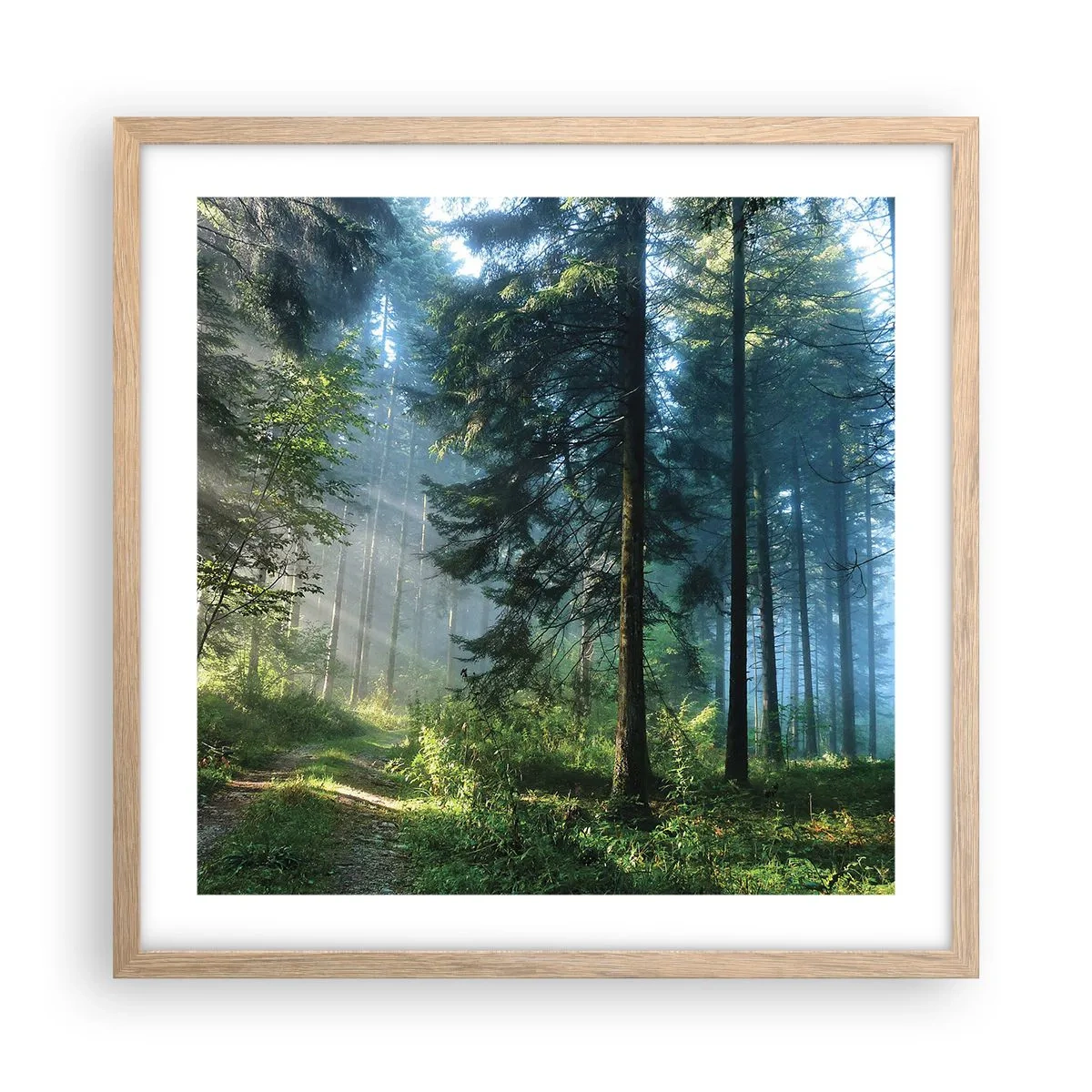 Plagát v ráme zo svetlého duba - Žiariaci za úsvitu - 50x50 cm