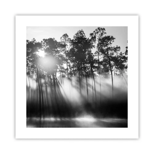 Plagát - Nezastaviteľné slnko - 40x40 cm