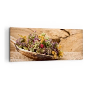 Obraz na plátne - Farebné kvety a voňavé bylinky - 100x40 cm