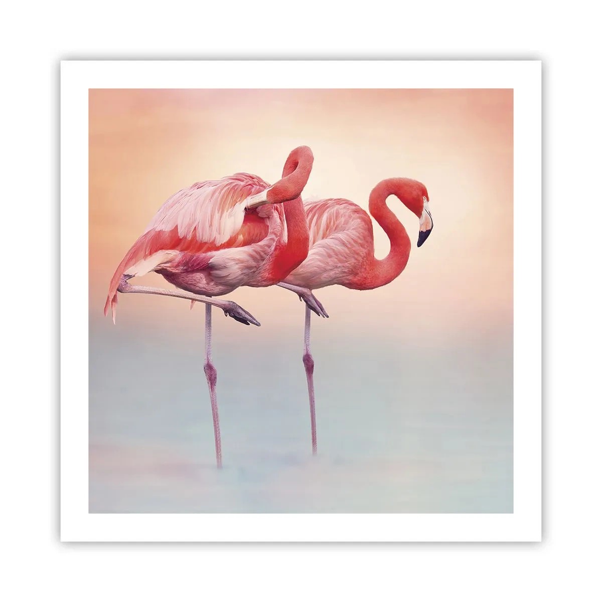 Plagát - Vo farbe zapadajúceho slnka - 60x60 cm