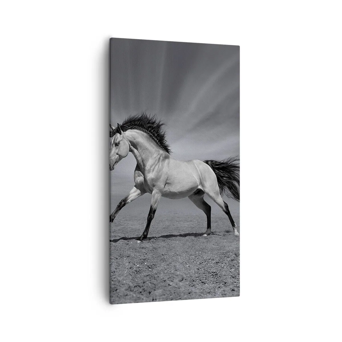 Obraz na plátne - Zrodený pre potešenie - 55x100 cm