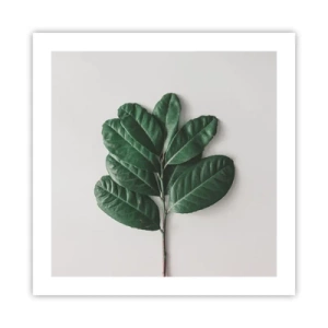 Plagát - Kresba samotnej prírody - 50x50 cm