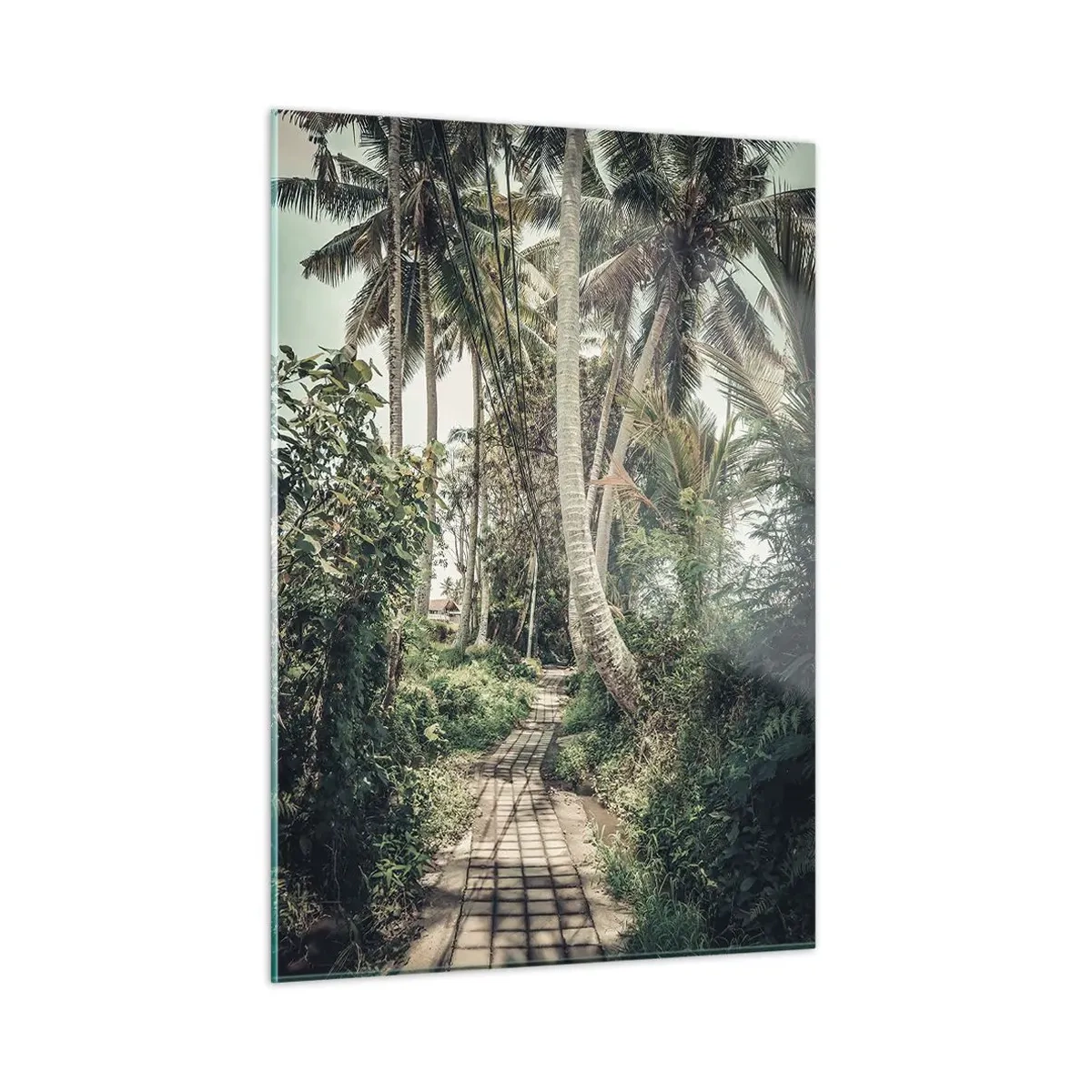 Obraz na skle - Palmový bulvár - 50x70 cm