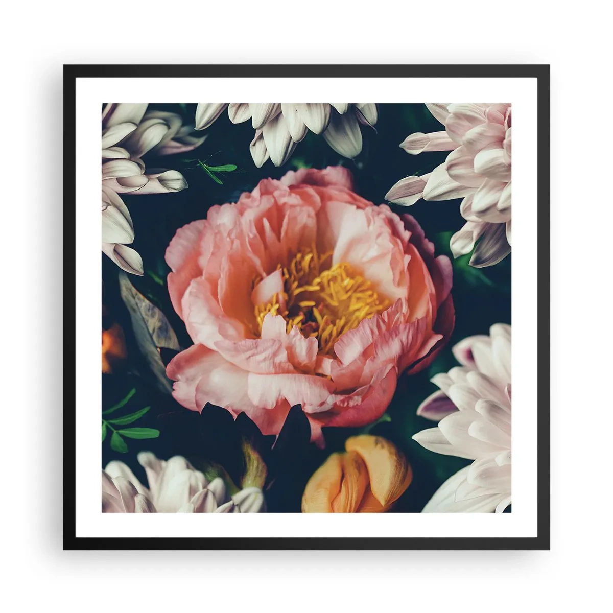 Plagát v čiernom ráme - S barokovým prepychom - 60x60 cm