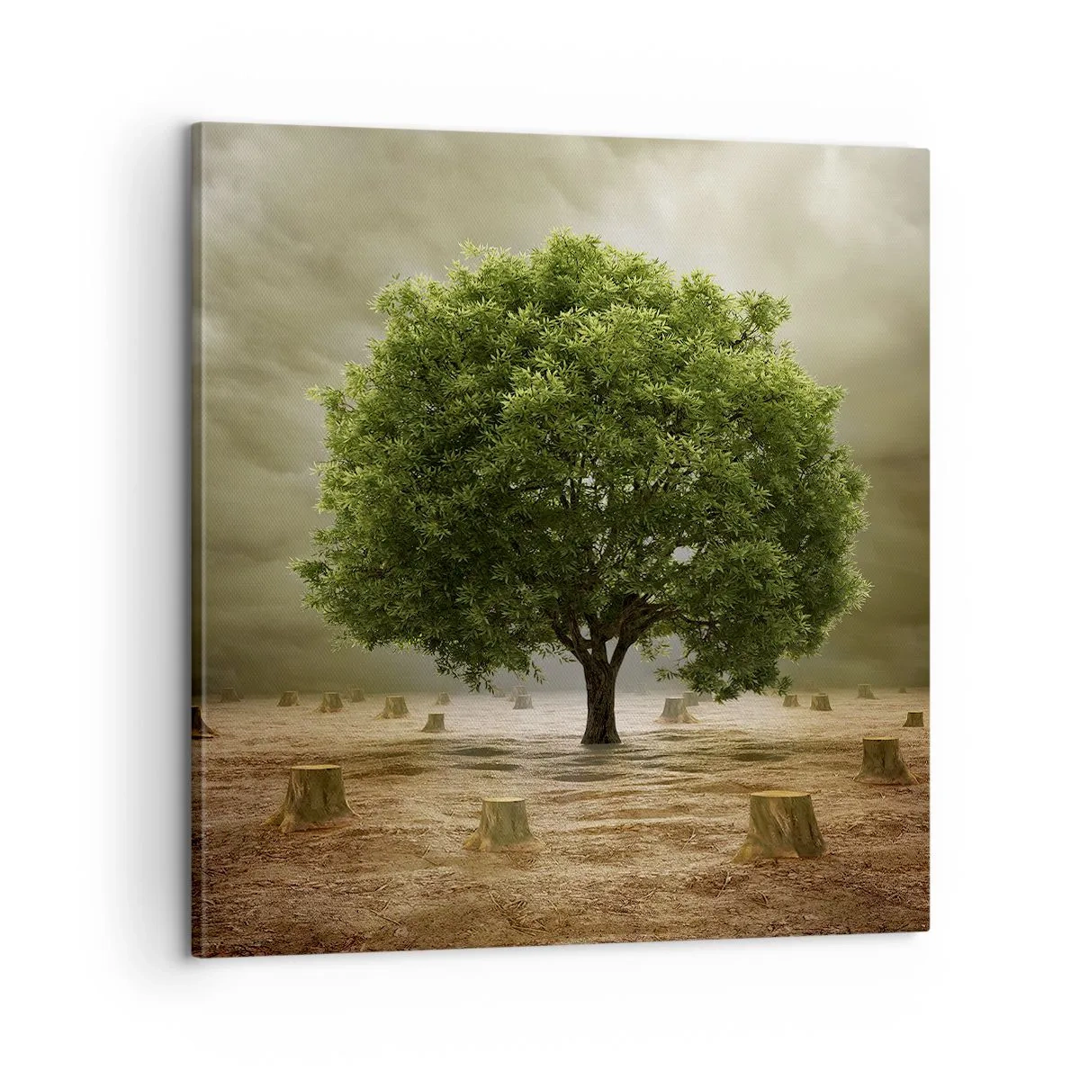 Obraz na plátne - Celá nádej - 60x60 cm