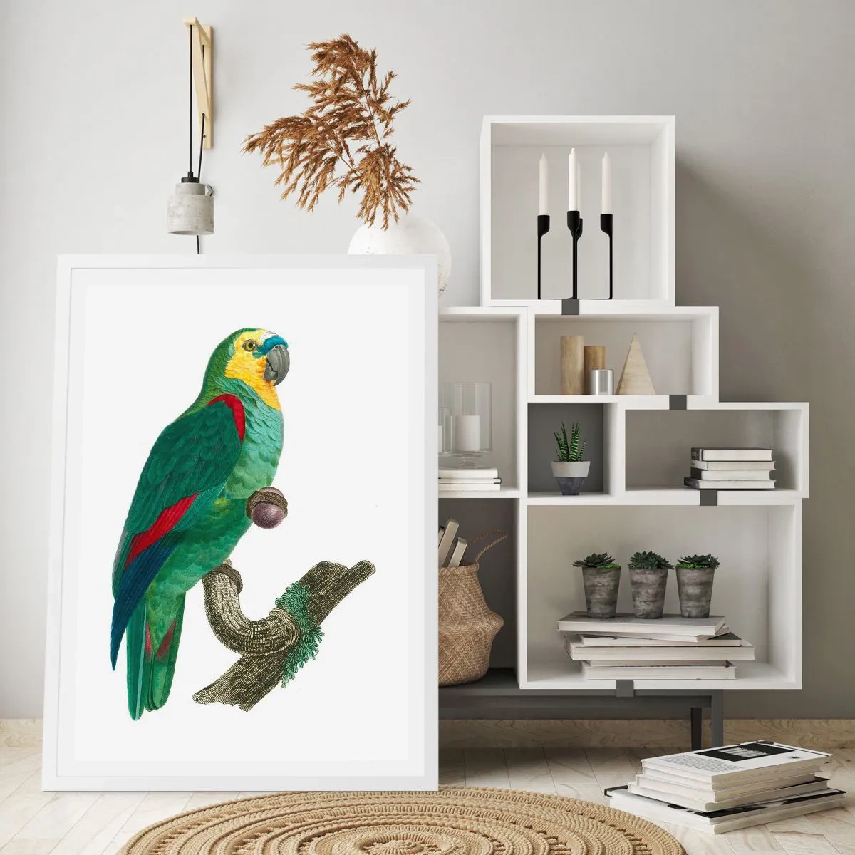 Plagát v bielom ráme - Portrét papagája - 70x100 cm