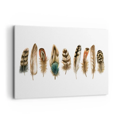 Obraz na plátne - Operená variácia - 120x80 cm