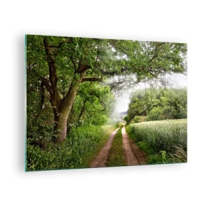 Obraz na skle - Lesná cesta obklopená zeleňou v lúčoch slnka - 70x50cm - Et in Arcadia ego - Moderná nástenná dekorácia do obývacej izby a spálne ARTTOR