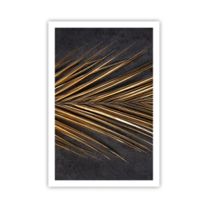 Plagát - Zlato trópov - 61x91 cm