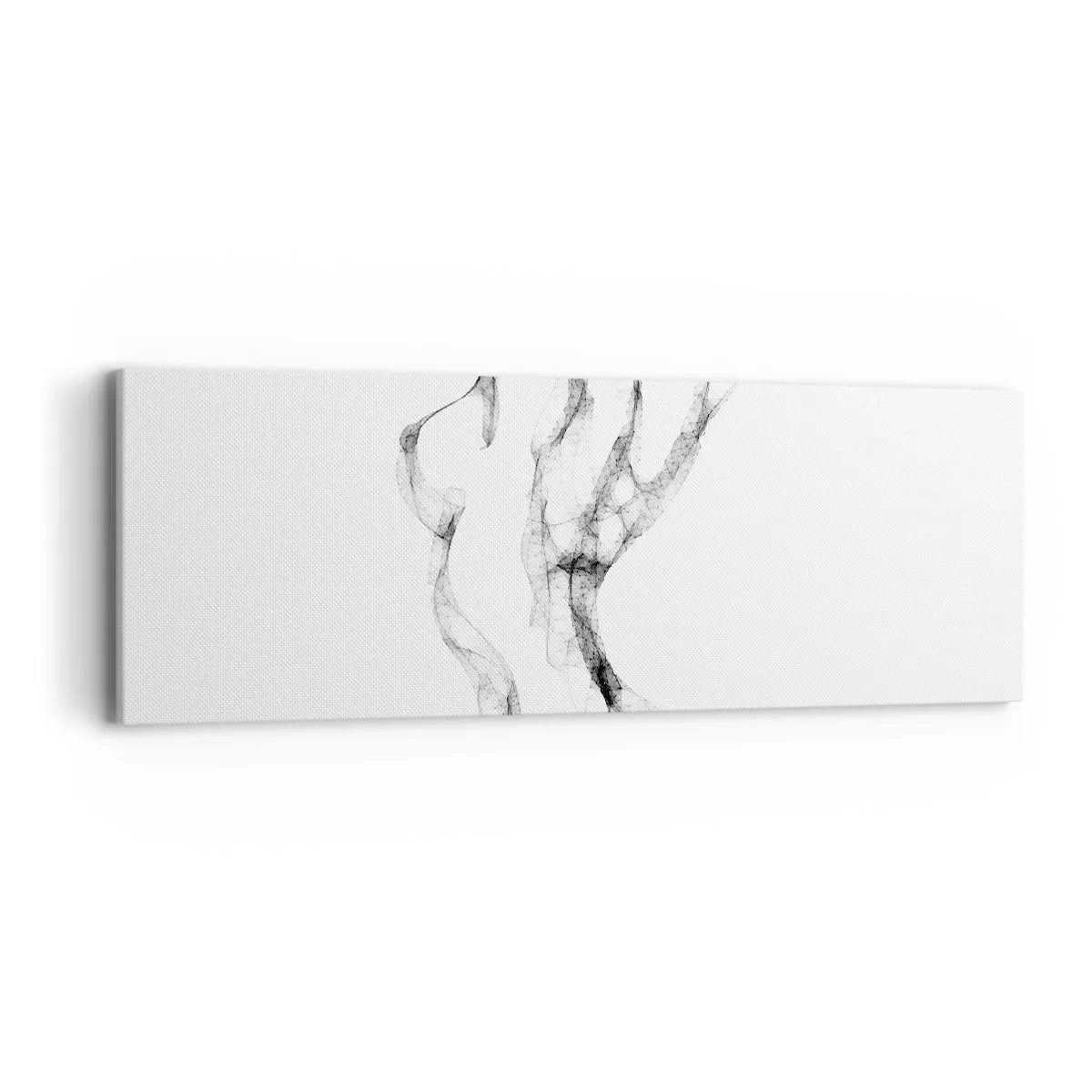 Obraz na plátne - Krásna a silná - 90x30 cm