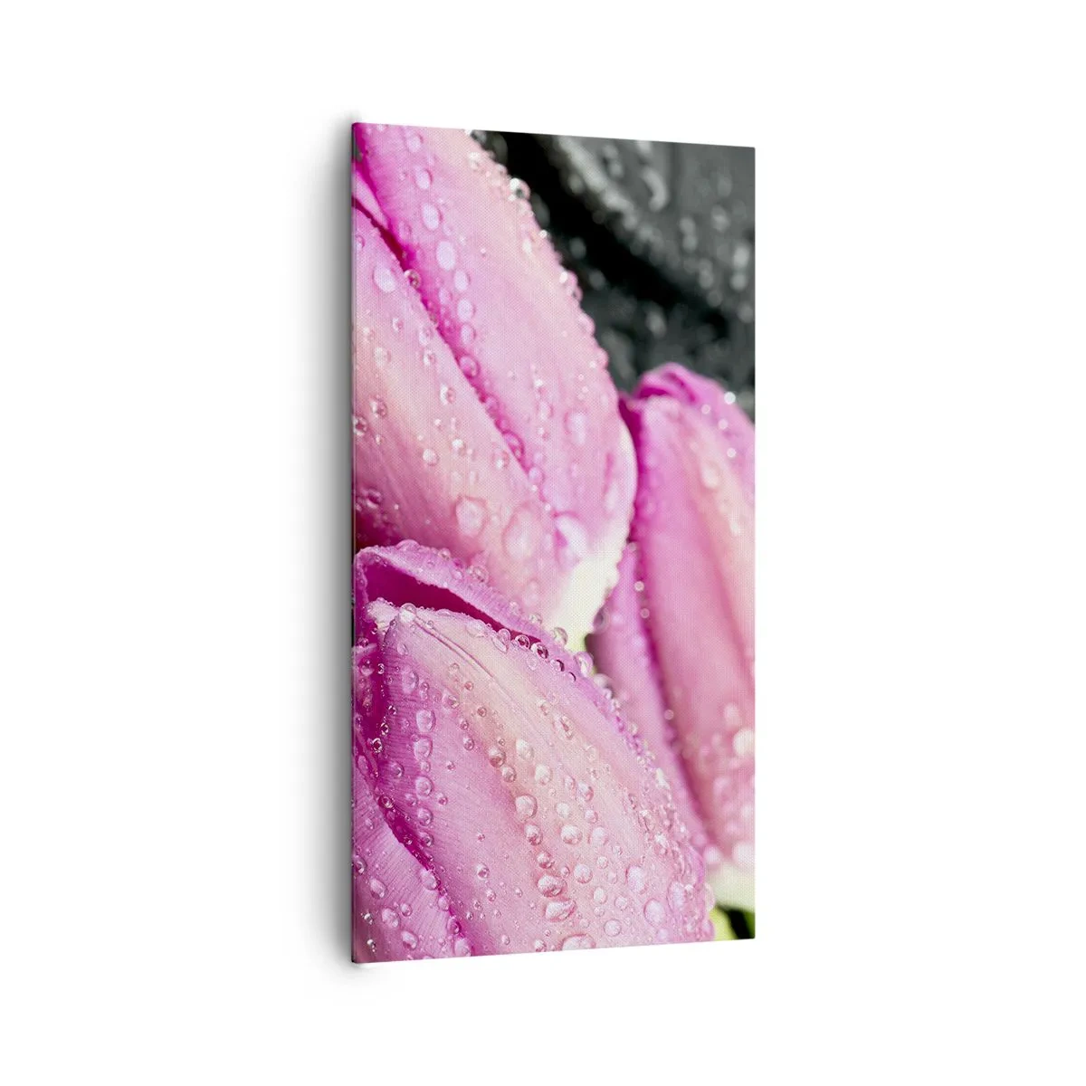 Obraz na plátne - Ľaliová trojica na čiernom kameni - 65x120 cm