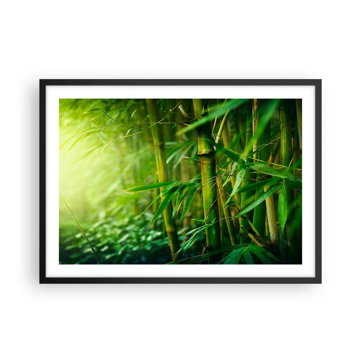 Plagát v čiernom ráme - Poznať samotnú zeleň - 70x50 cm
