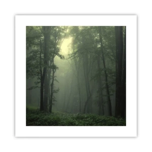 Plagát - Než sa prebudí - 40x40 cm