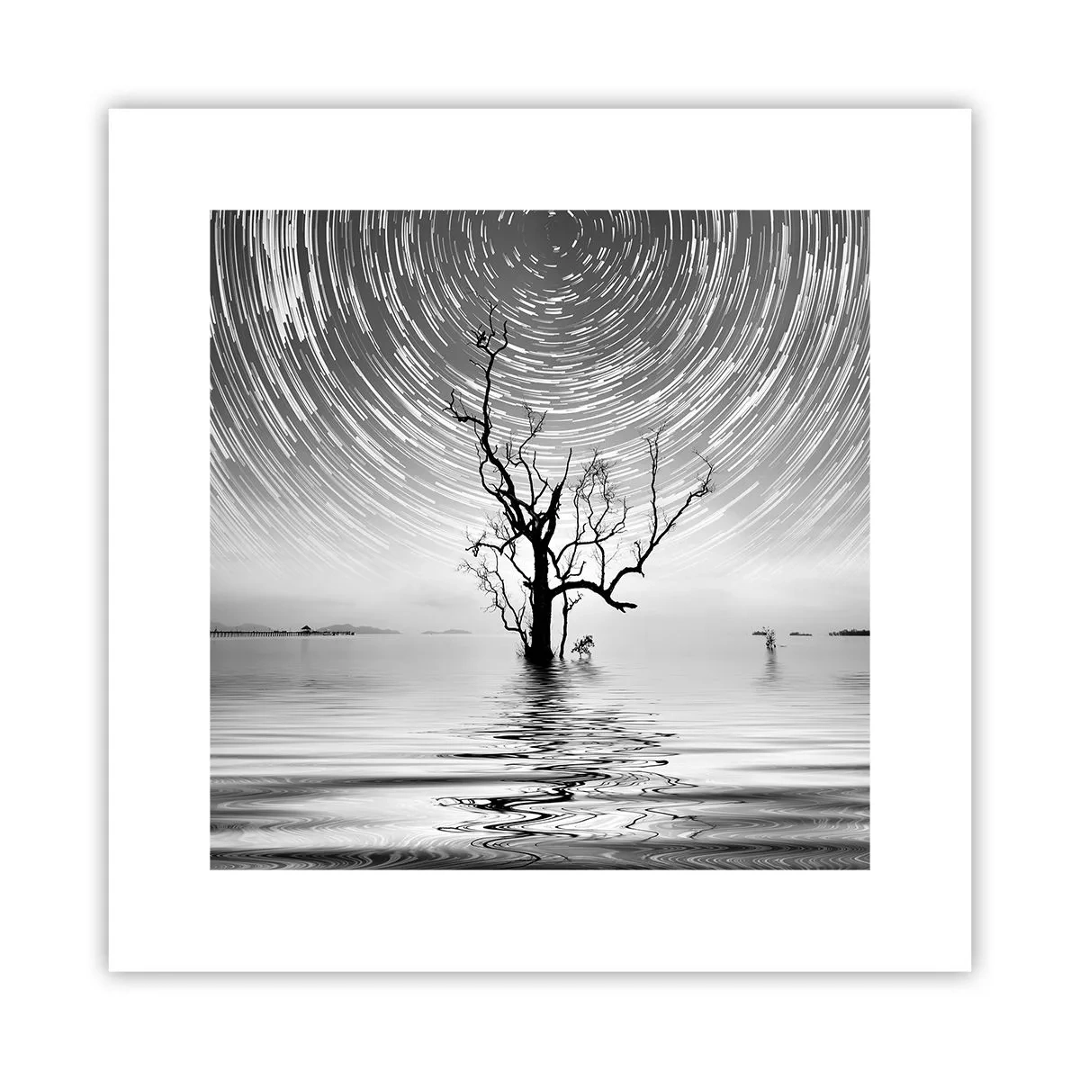 Plagát - Symfónia prírody - 30x30 cm