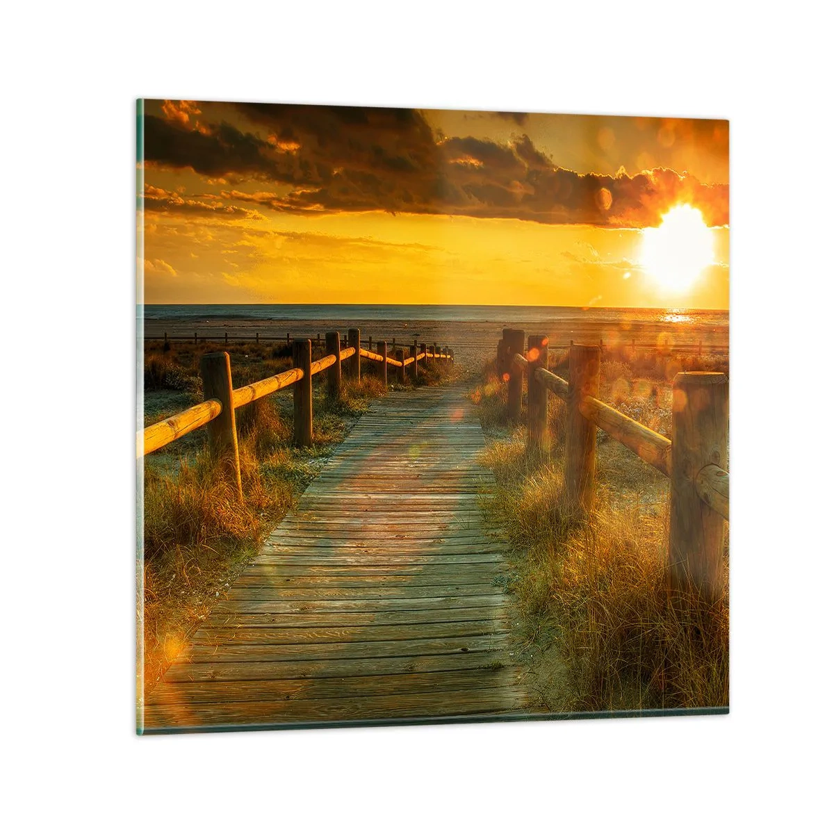 Obraz na skle - Vykúpané v starom zlate - 60x60 cm