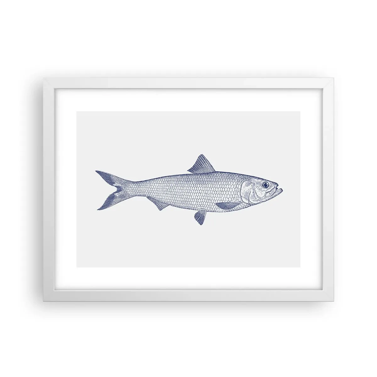 Plagát v bielom ráme - Pozdravy zo severných morí - 40x30 cm