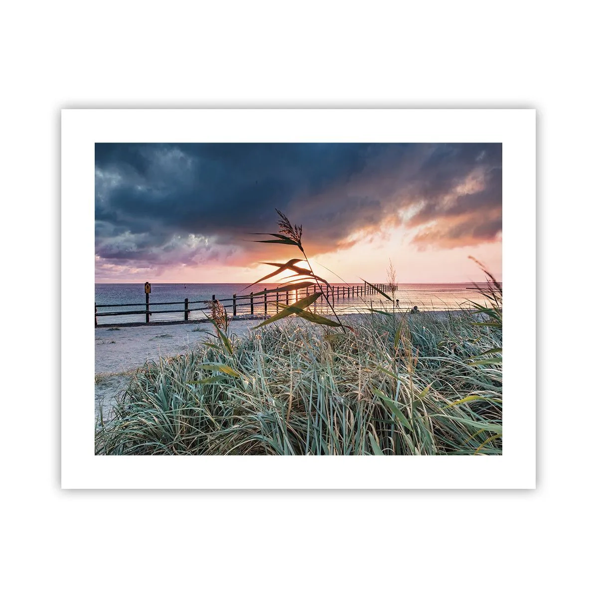 Plagát - Neodviate vetrom - 50x40 cm