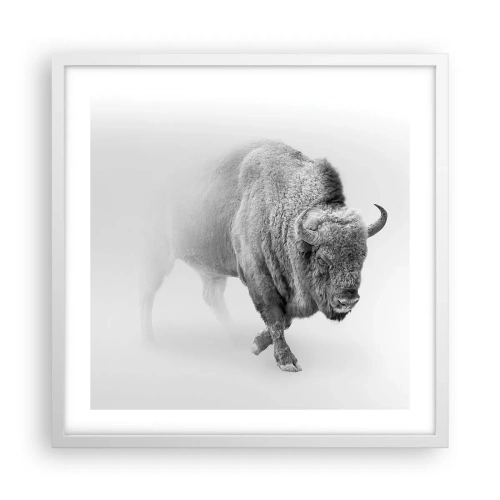 Plagát v bielom ráme - Kráľ prérie - 50x50 cm