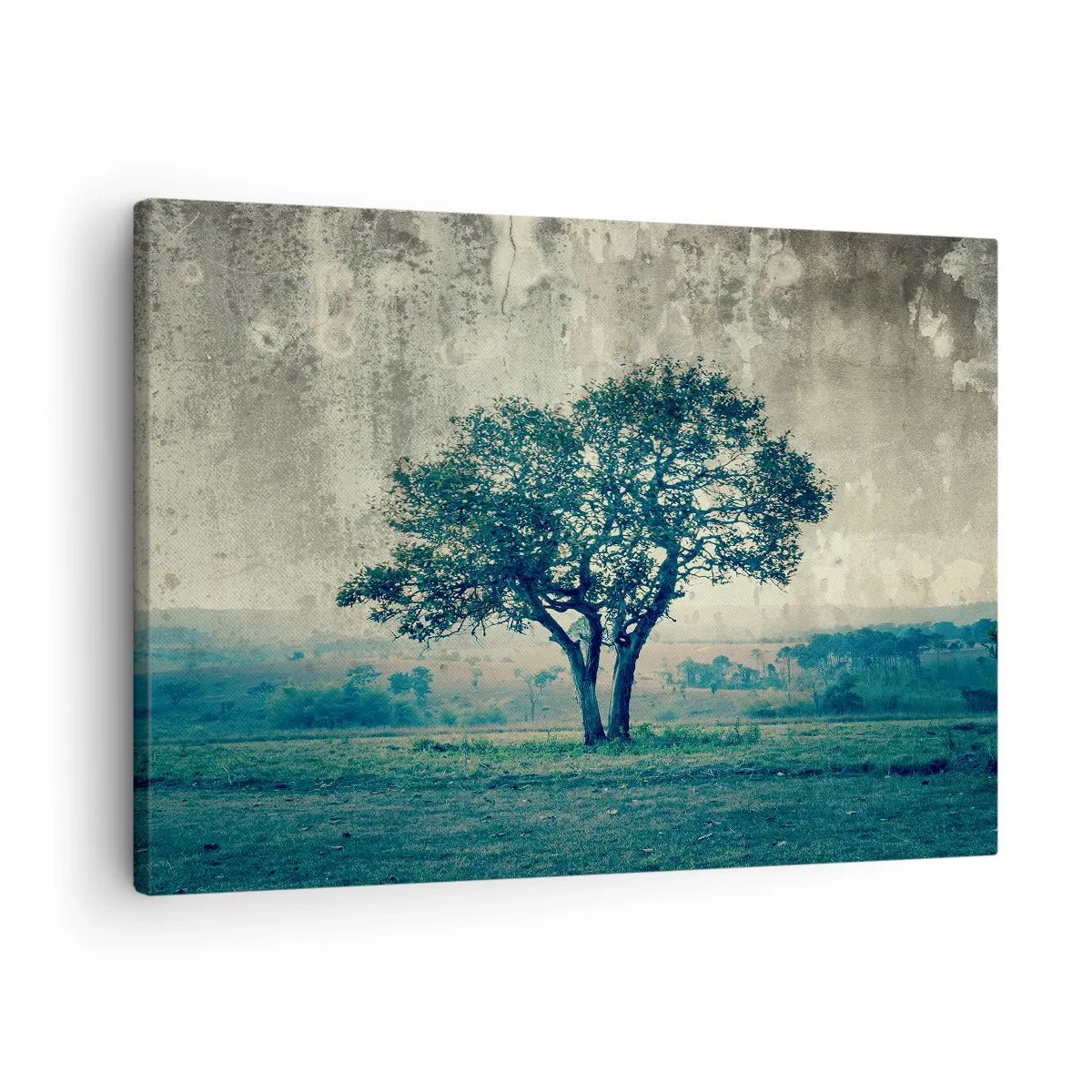 Obraz na plátne - Osamelý strom na pozadí hmlistej krajiny - 70x50cm - Jabloň na modrom poli? - Moderná nástenná dekorácia do obývacej izby a spálne ARTTOR