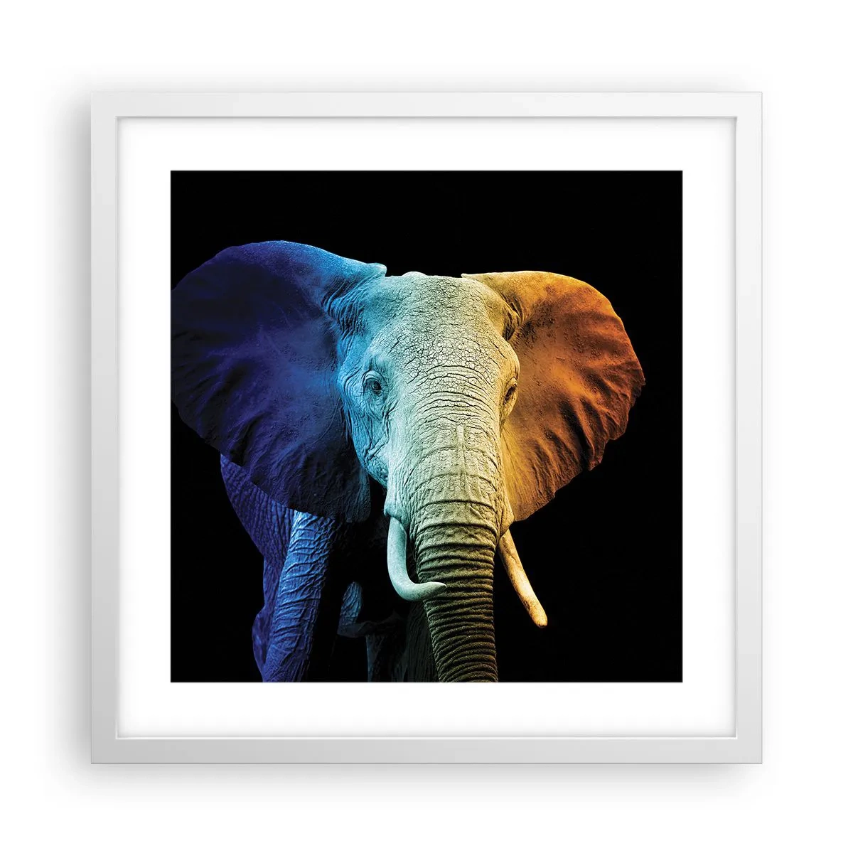 Plagát v bielom ráme - Excentrický muž, avšak nie podivín - 40x40 cm