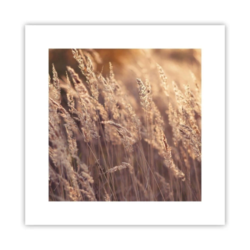 Plagát - Pripravení privítať jeseň - 30x30 cm