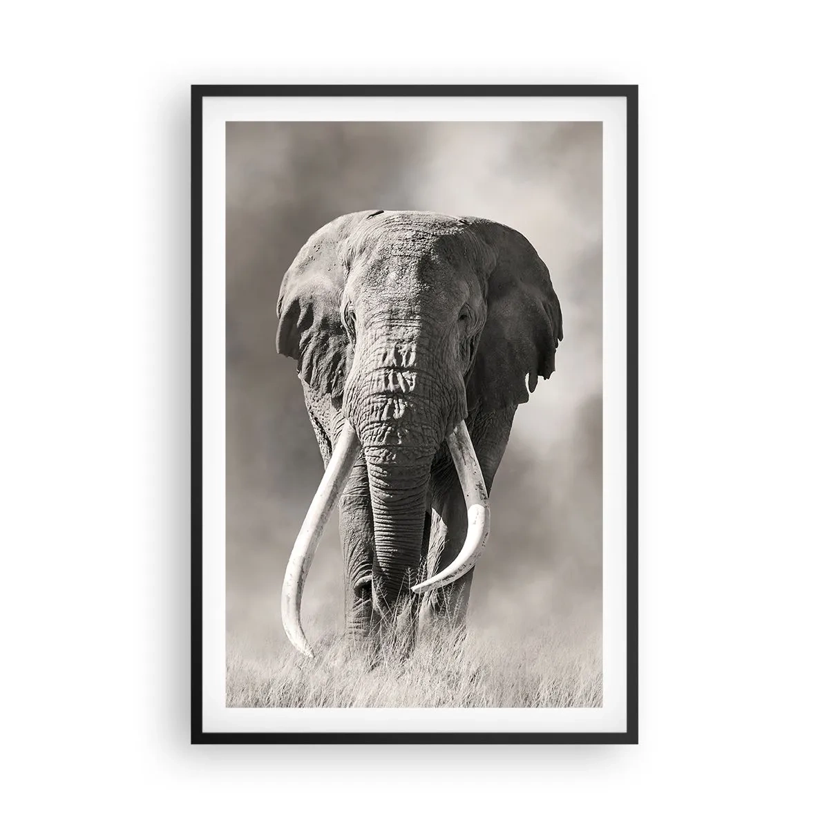 Plagát v čiernom ráme - Africký patriarcha - 61x91 cm