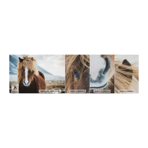 Vzorka fototapety Premium Canvas - Cítiš slobodu? - Kôň, Príroda, Zvieratá - 100x30 cm