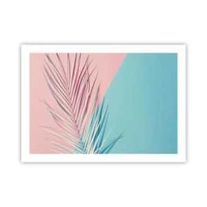 Plagát - Tropický dojem - 70x50 cm