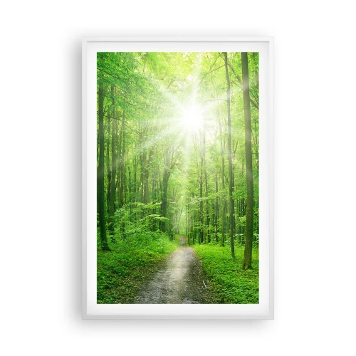 Plagát v bielom ráme - Zelená katedrála - 61x91 cm