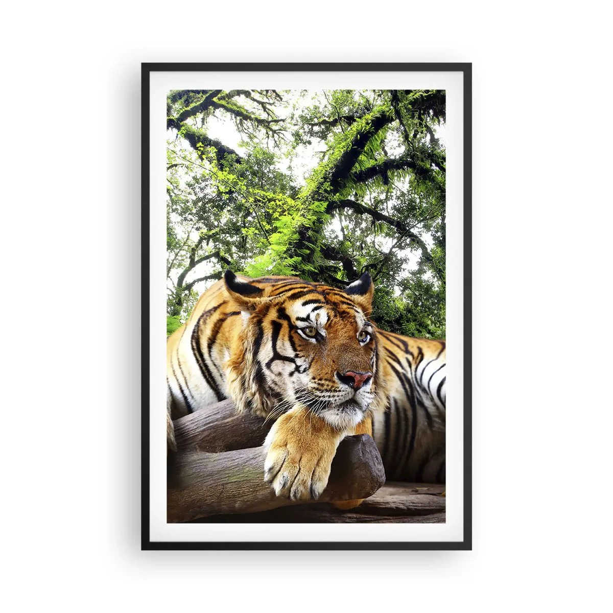 Plagát v čiernom ráme - S úctou - 61x91 cm