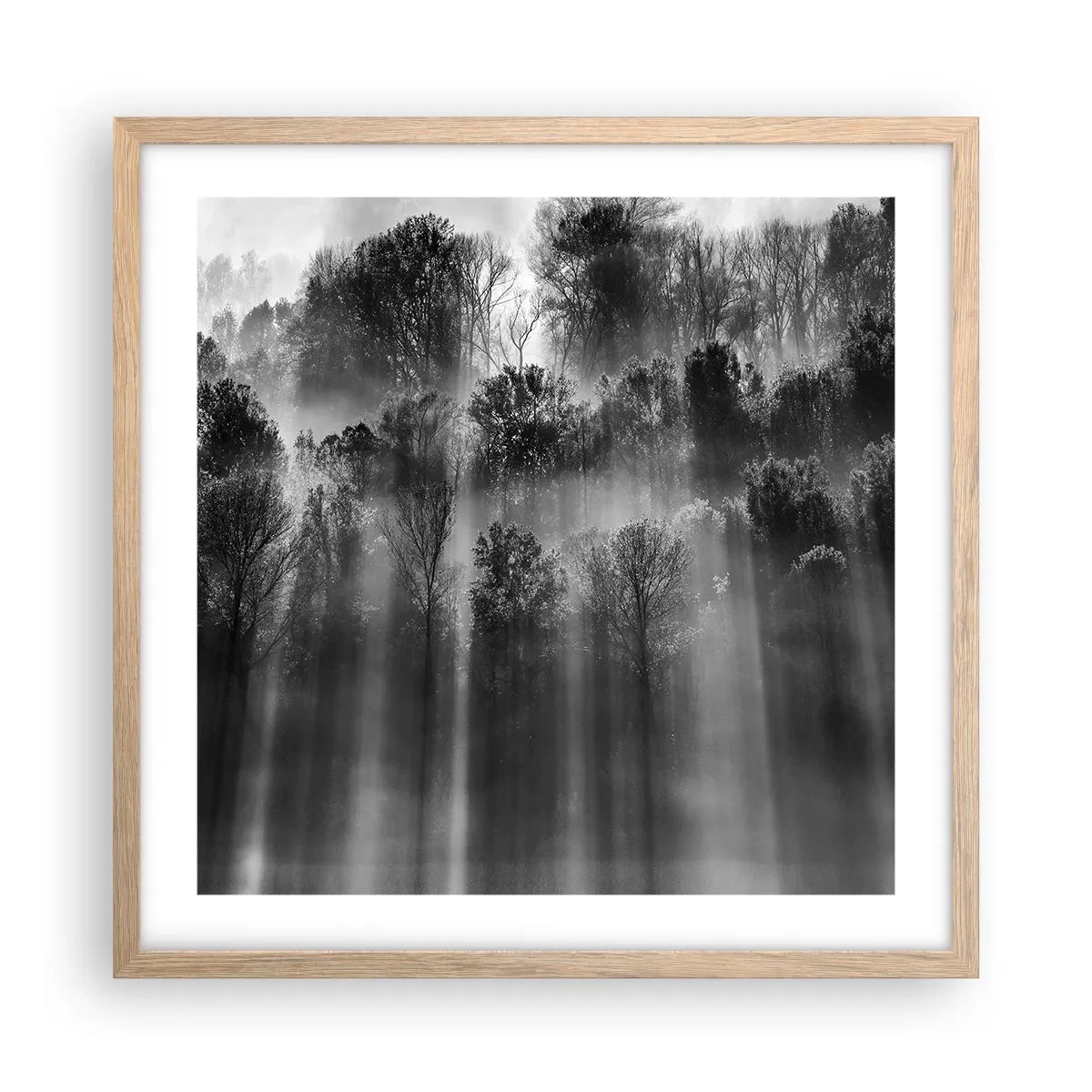 Plagát v ráme zo svetlého duba - V lúčoch svetla - 50x50 cm