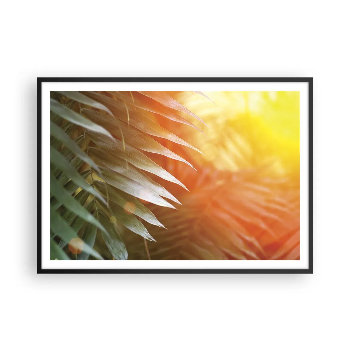 Plagát v čiernom ráme - Ráno v džungli - 100x70 cm