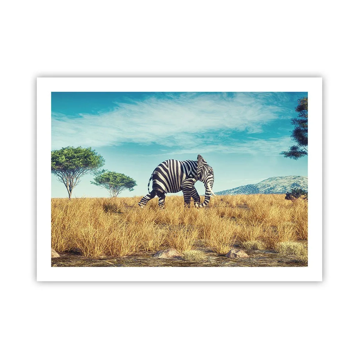 Plagát - Šedá už nie je v móde - 70x50 cm