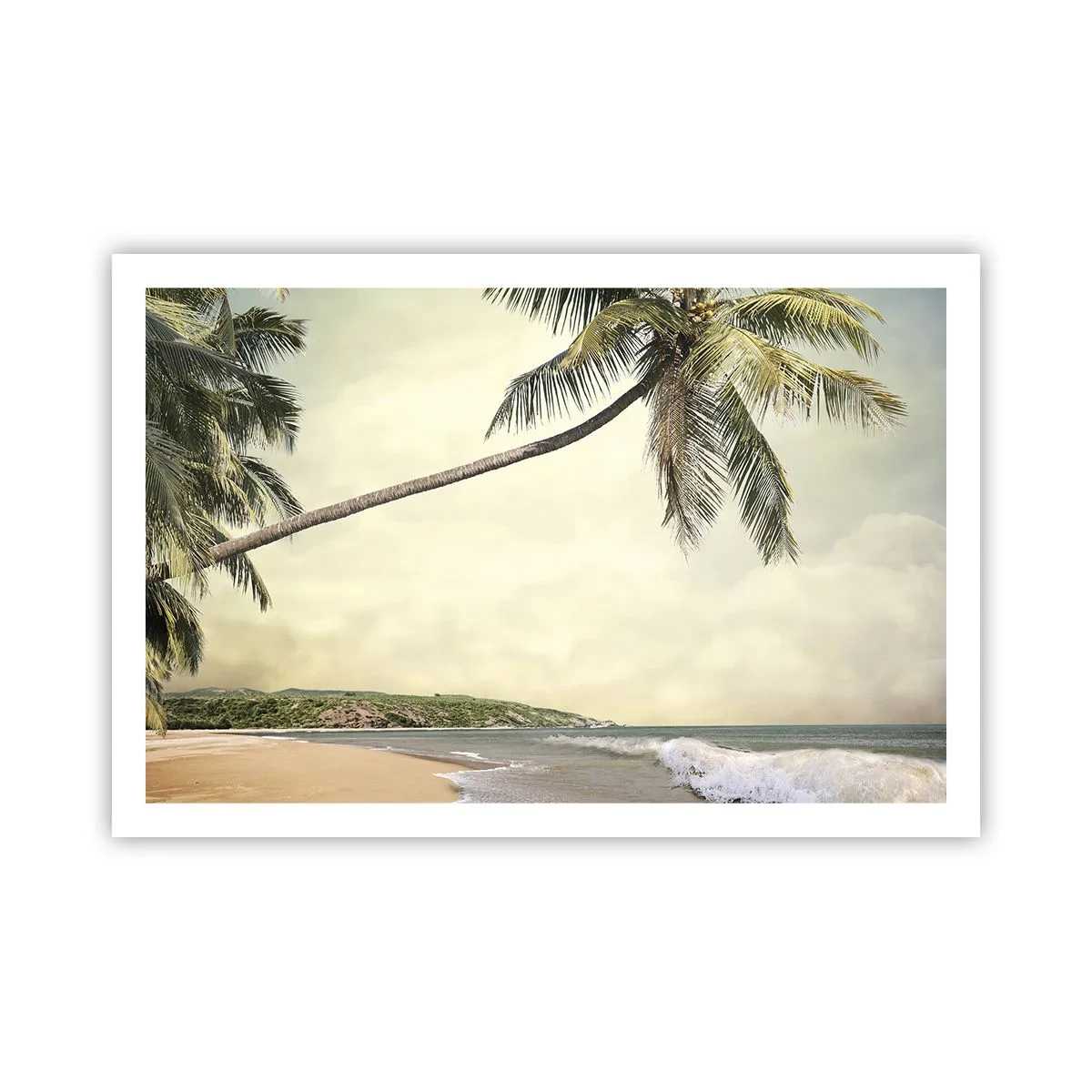 Plagát - Tropický sen - 91x61 cm