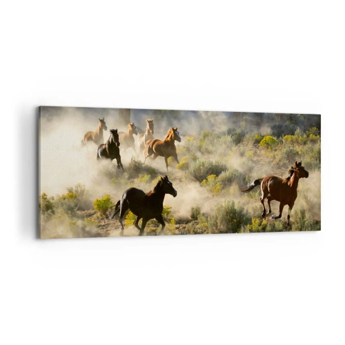 Obraz na plátne - Rivalita - sloboda alebo mužská sila? - 100x40 cm