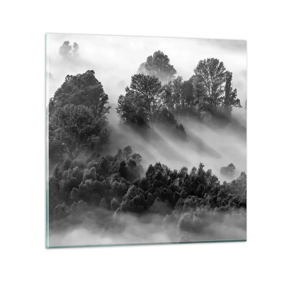 Obraz na skle - Prebúdzanie zo spánku - 70x70 cm